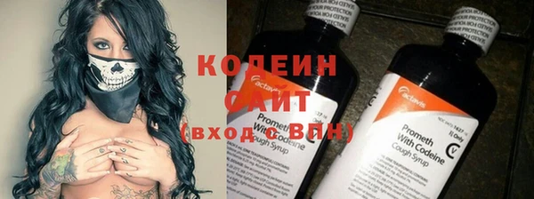 гидра Бородино
