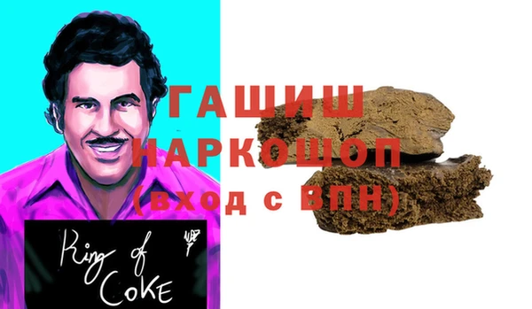 гидра Бородино