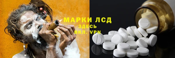 гидра Бородино
