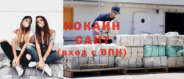 гидра Бородино