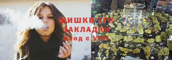 гидра Бородино