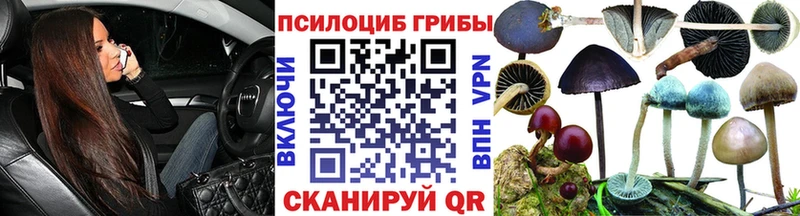 Псилоцибиновые грибы мицелий  купить наркоту  Ядрин 